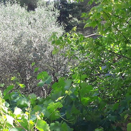 Bastide Sainte Agnes Bed and Breakfast Carpentras Εξωτερικό φωτογραφία