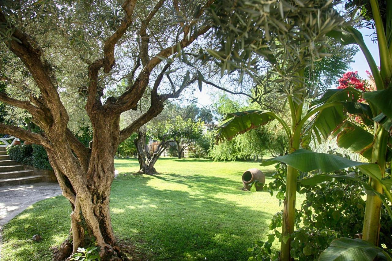 Bastide Sainte Agnes Bed and Breakfast Carpentras Εξωτερικό φωτογραφία